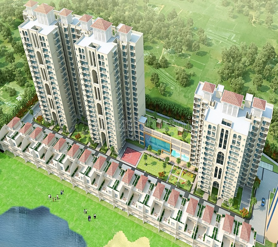 Trehan Floors