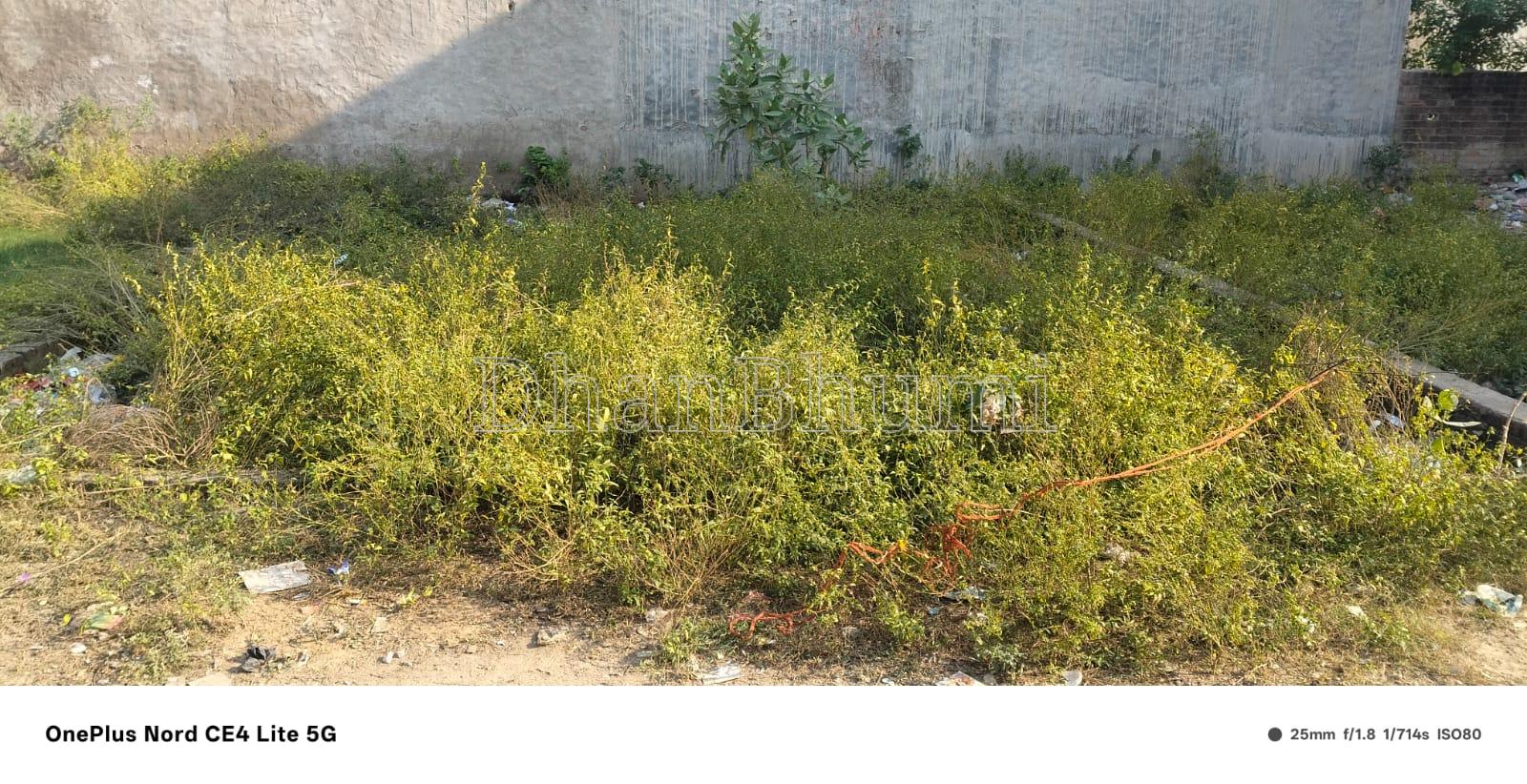 property_images/1763396156_691b4a3cc8e87.jpg