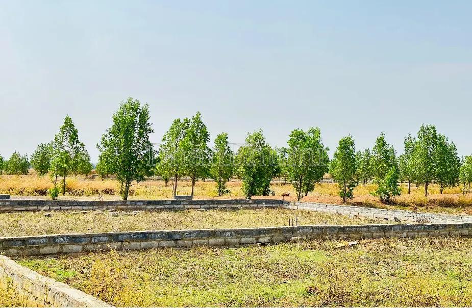 featured_img