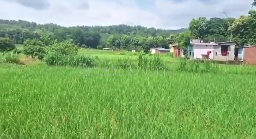 property_images/1764835906_69314242dda30.PNG