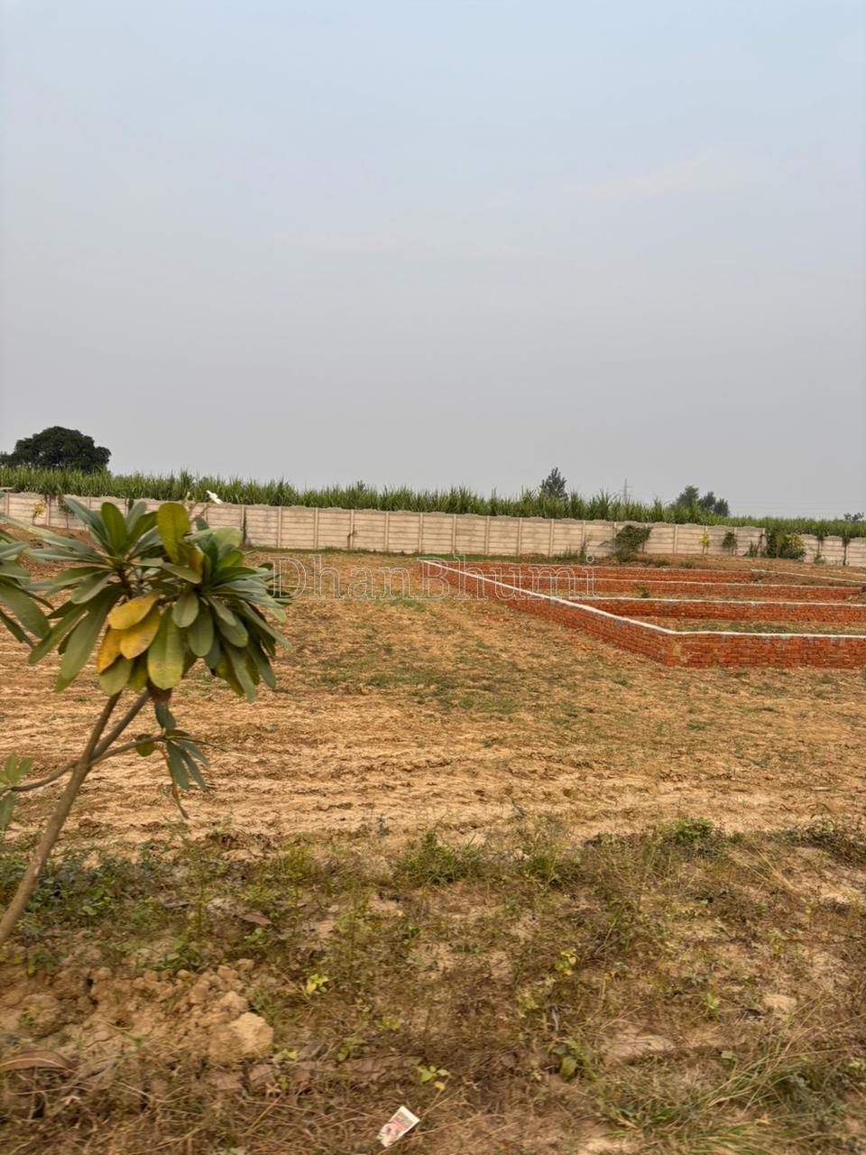 featured_img