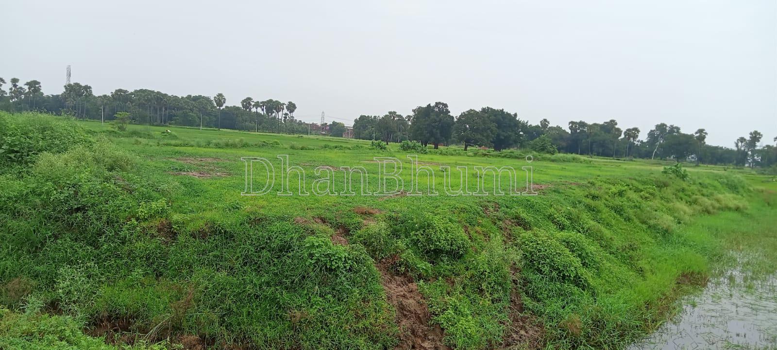 featured_img