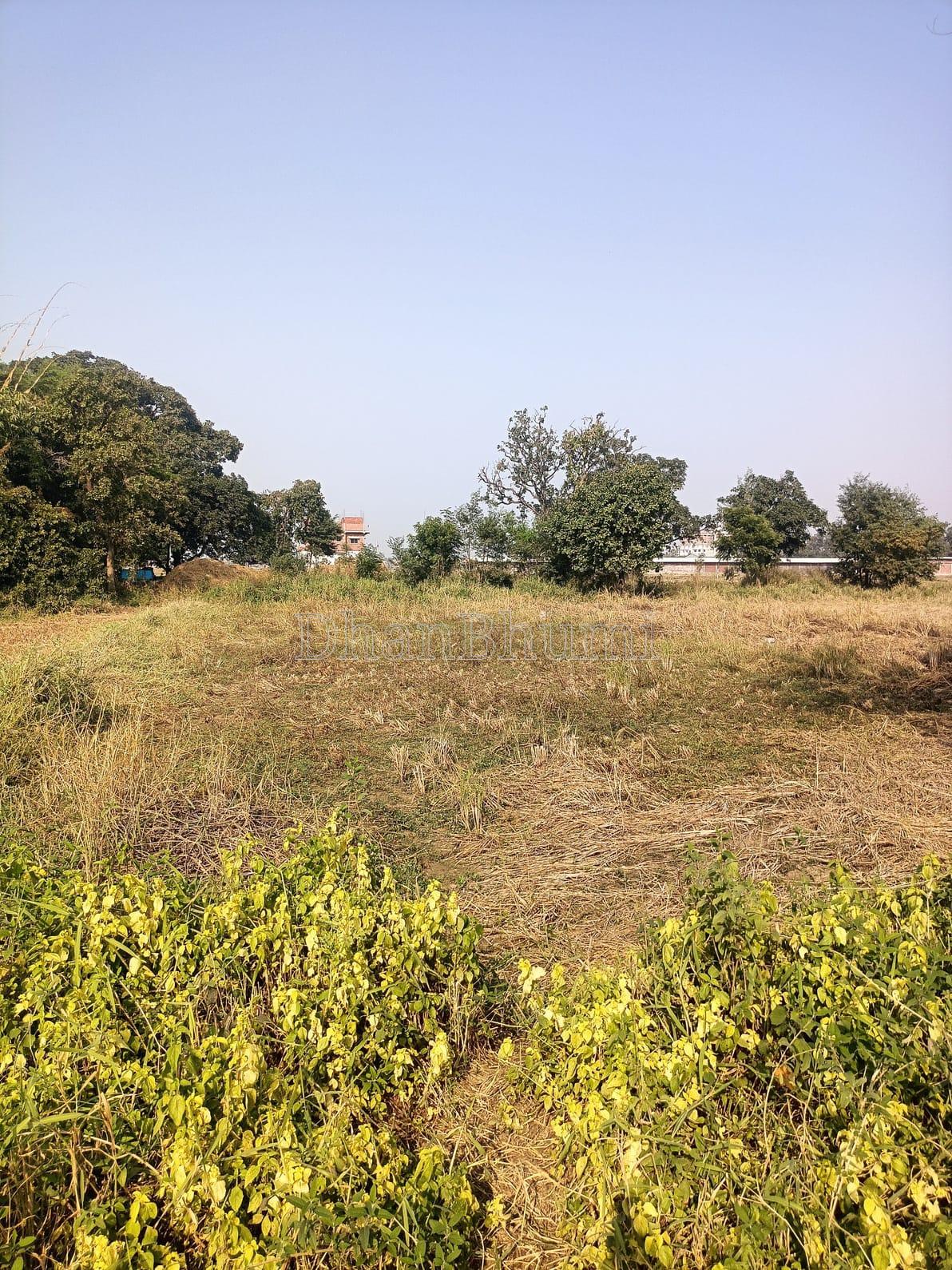 featured_img