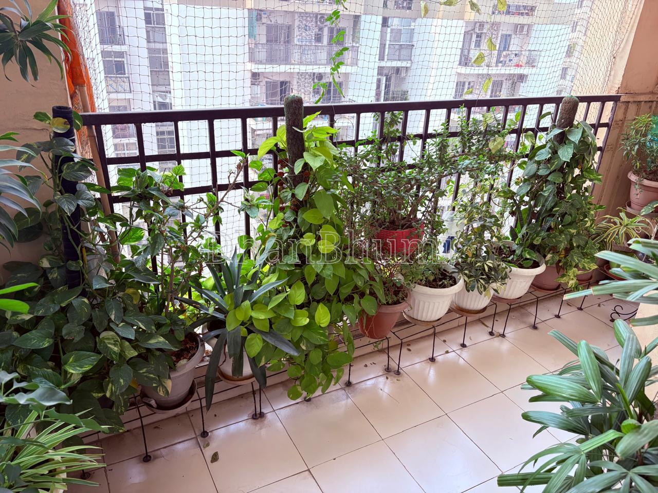 property_images/1766401350_694925468ca9b.jpeg