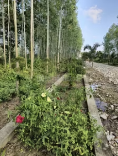 property_images/1766822049_694f90a1b2653.png