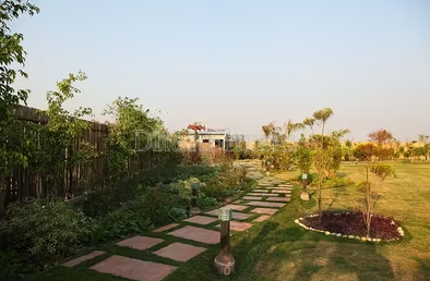featured_img