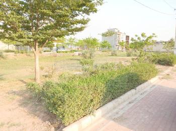 property_images/1767434516_6958e9140c6e4.jpeg