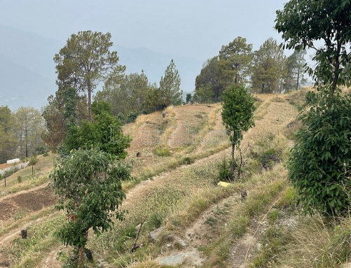 featured_img