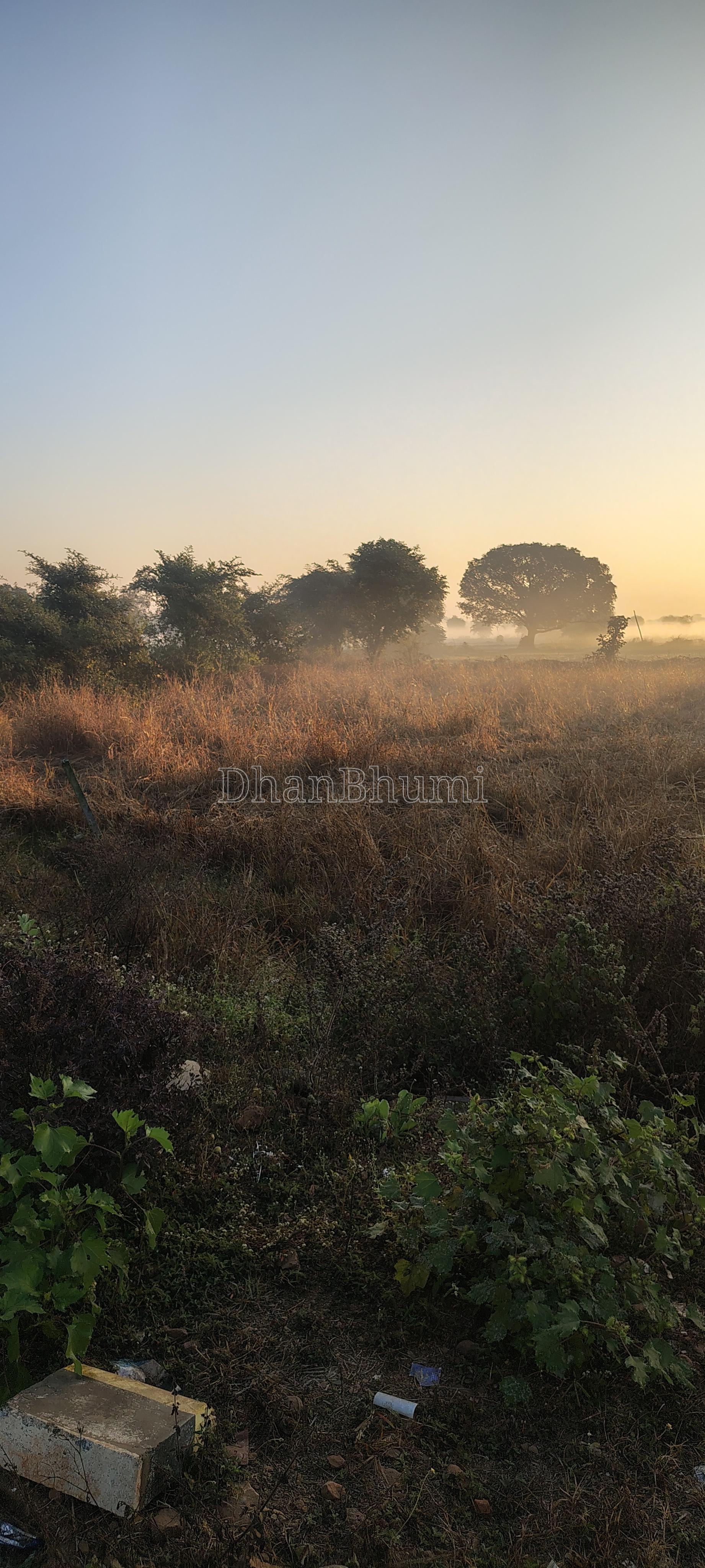 featured_img