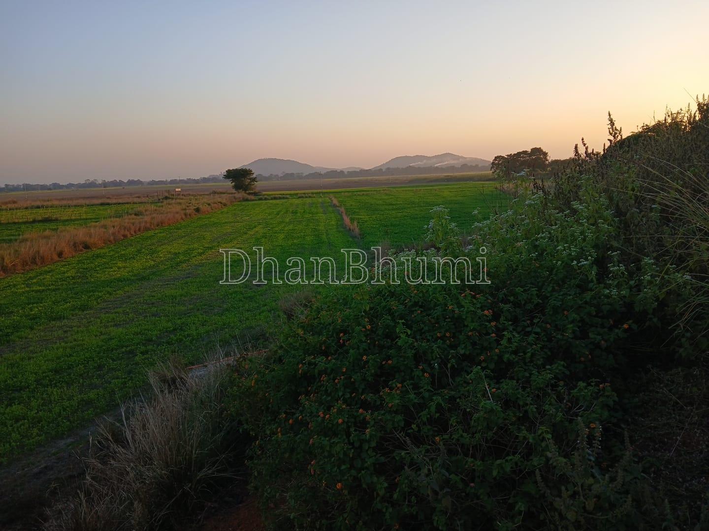 property_images/1767874259_695f9ed3d708f.jpeg