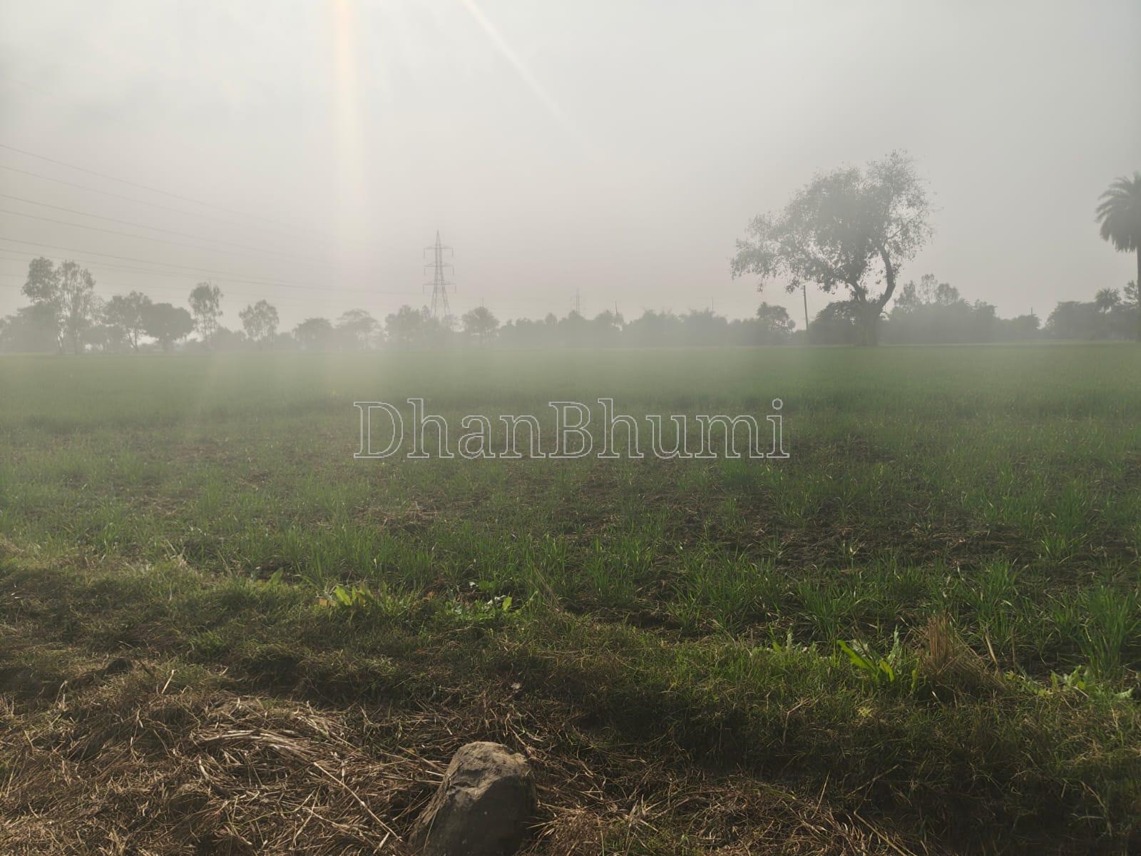 featured_img