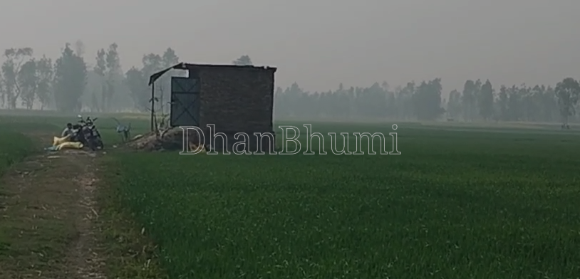 featured_img