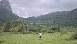 property_images/1769769299_697c895353641.png
