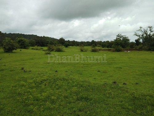property_images/1769770111_697c8c7f06b42.jpg