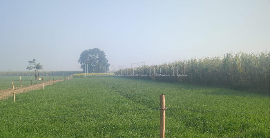 property_images/1769835846_697d8d4638ee1.PNG