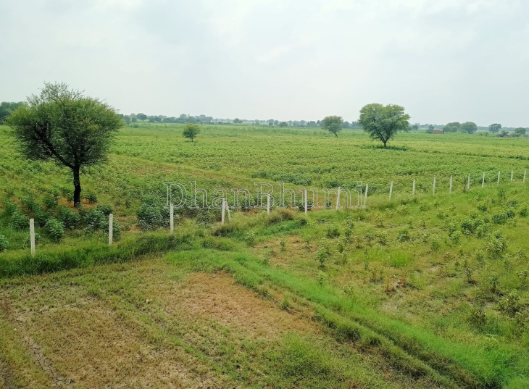 featured_img
