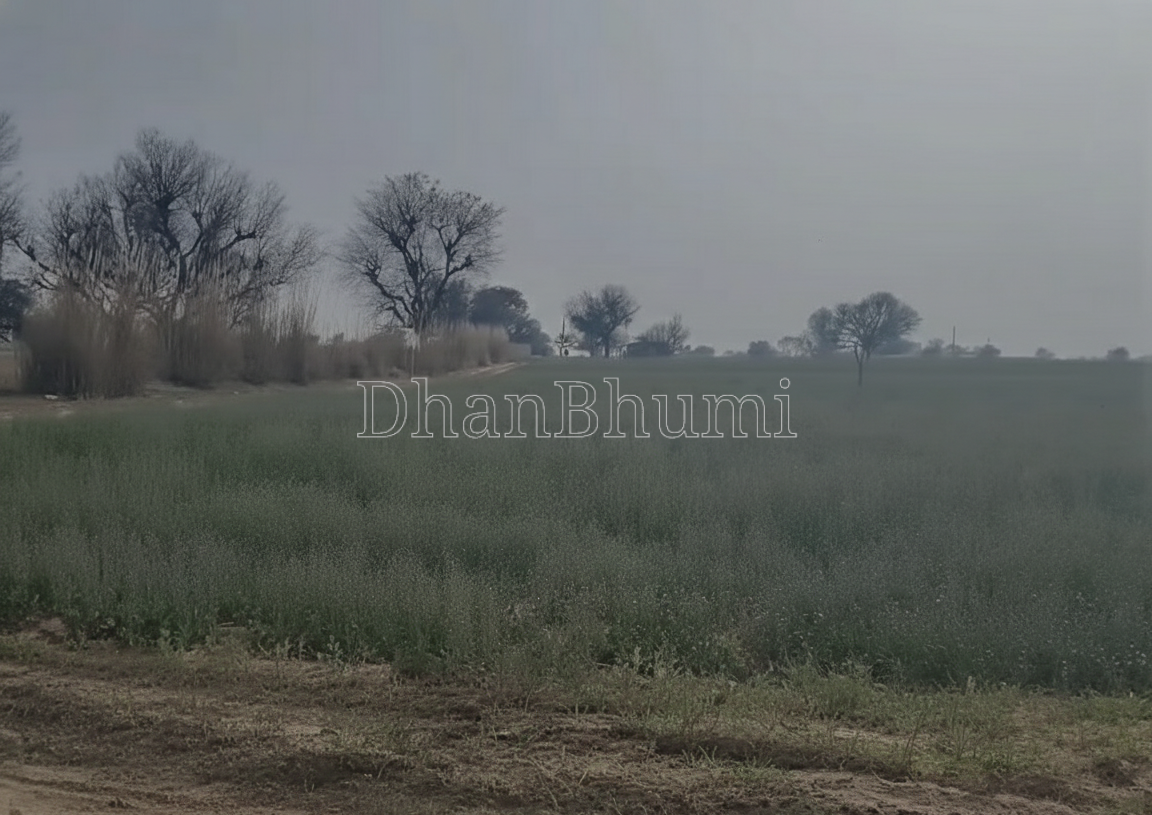 featured_img