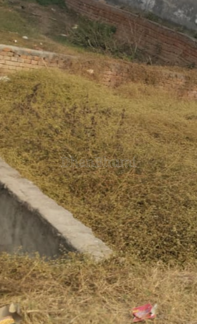 property_images/1770102487_69819ed7e9831.PNG