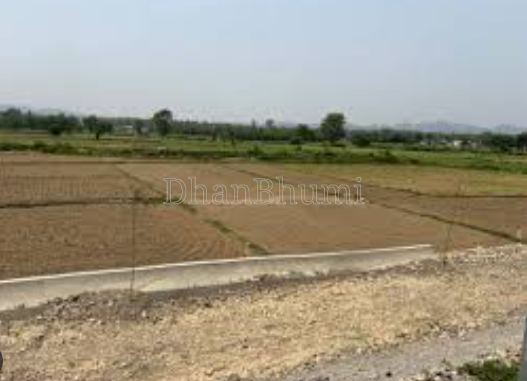 property_images/1770206188_698333ecb3f72.png
