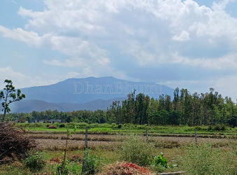featured_img
