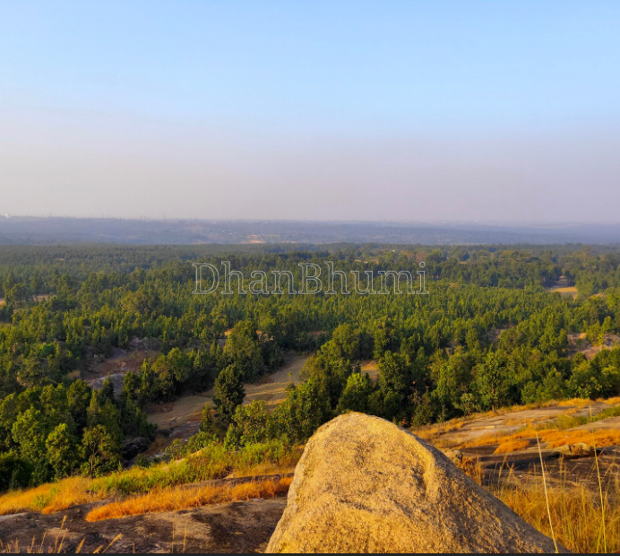 property_images/1770274465_69843ea1eb9ae.png