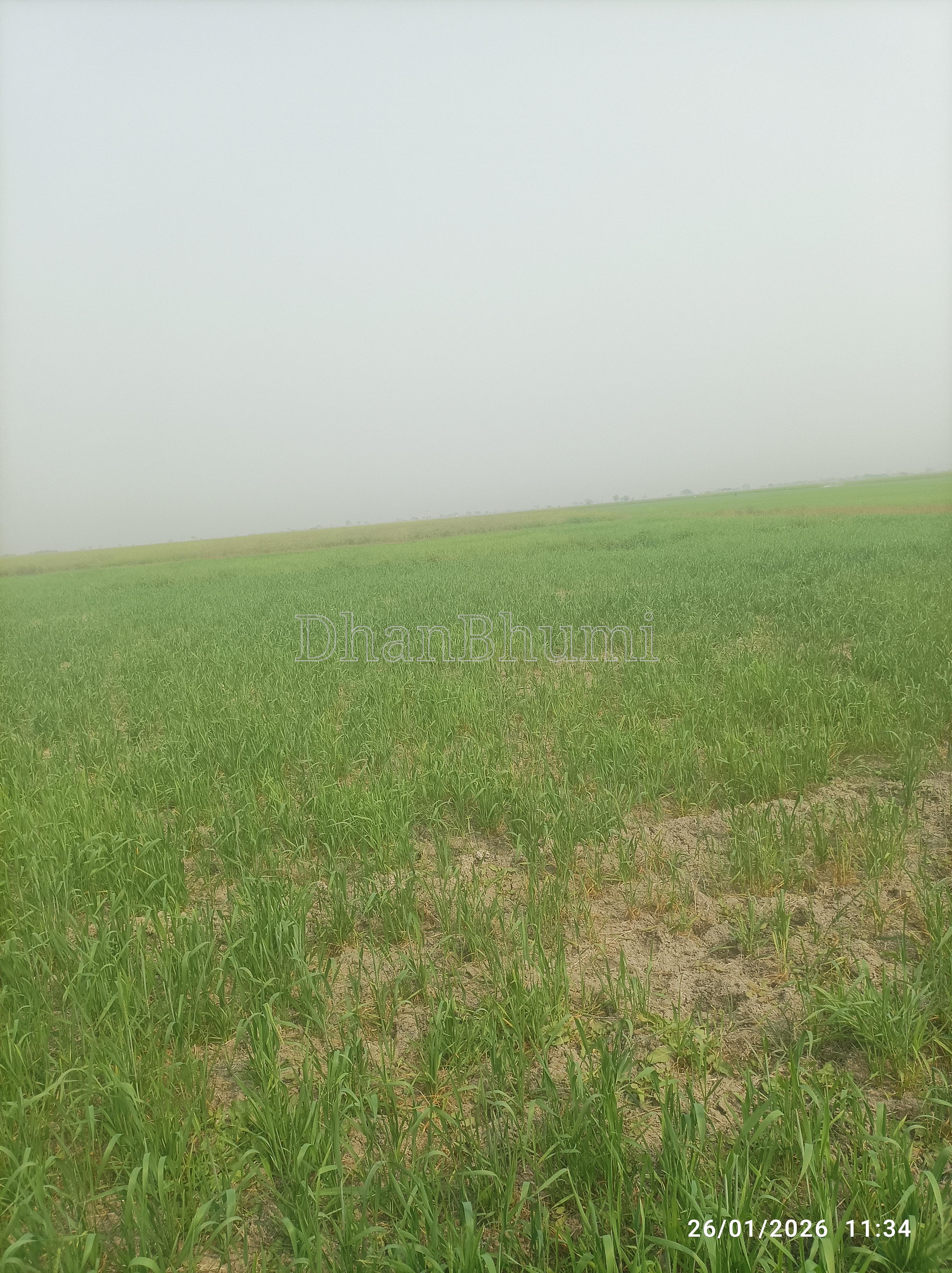 featured_img