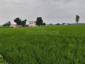 featured_img