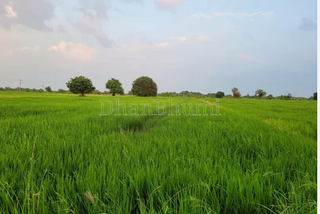 featured_img