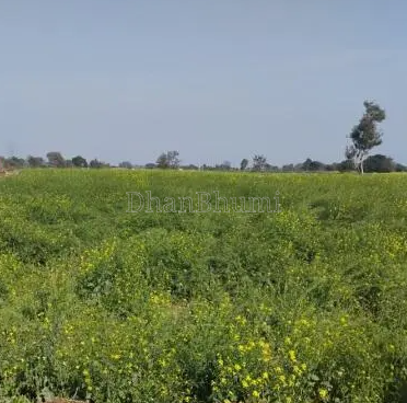 featured_img