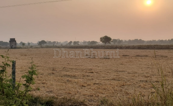 featured_img