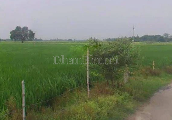 featured_img