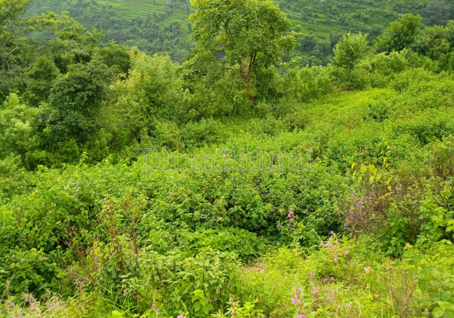 property_images/1771062984_699046c8a81a5.png