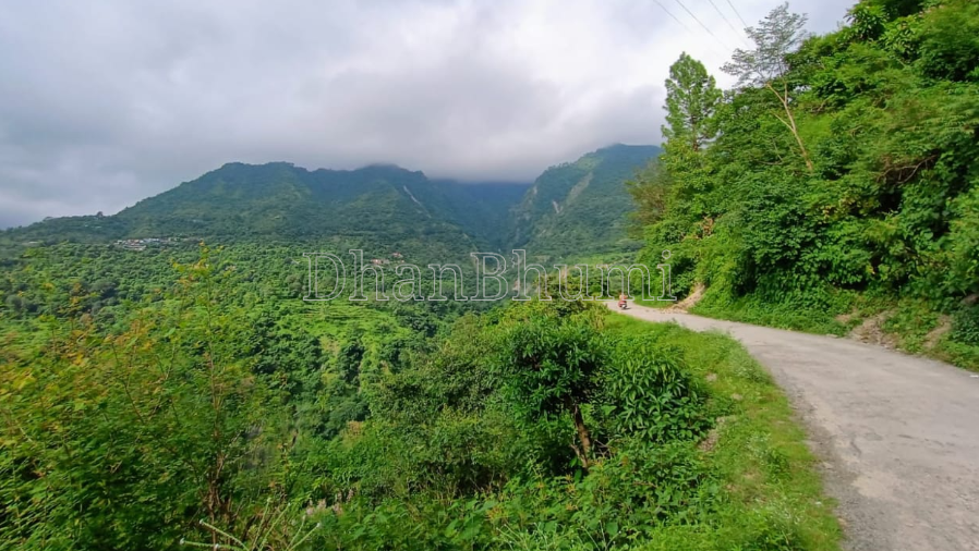 property_images/1771063504_699048d0af7ac.png