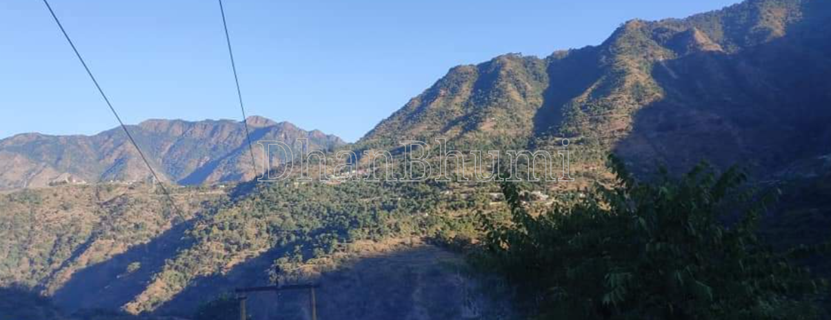 property_images/1771064292_69904be4a0ca0.png
