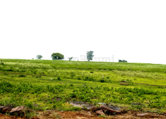 featured_img