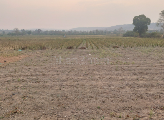 property_images/1771310386_69940d32a7a35.PNG