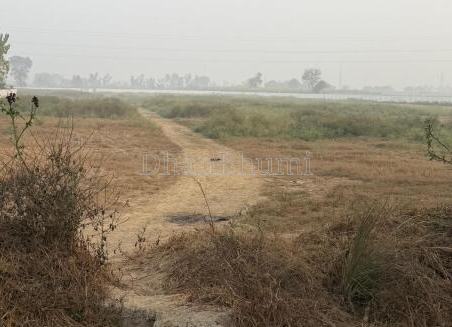 featured_img