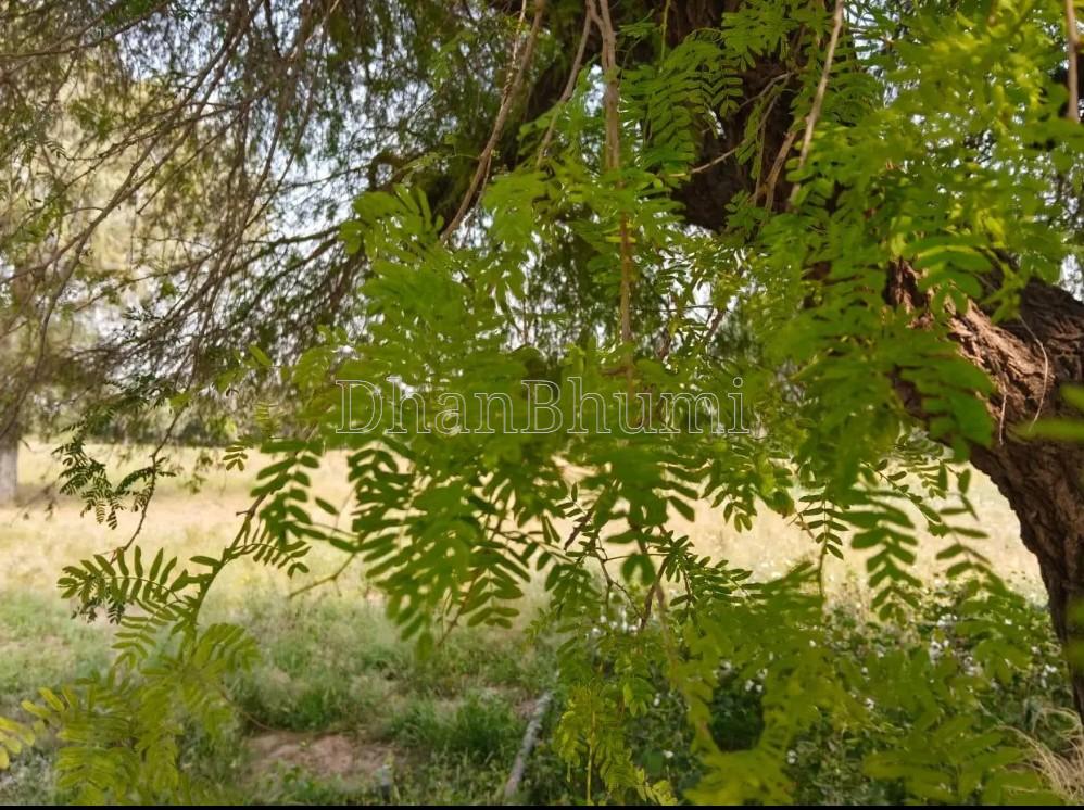 property_images/1771329949_6994599d10d32.jpg