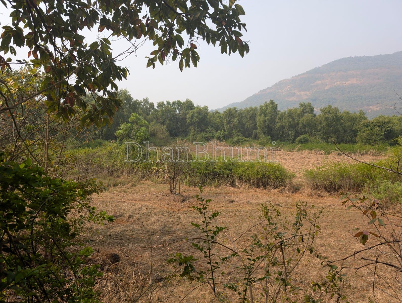 featured_img