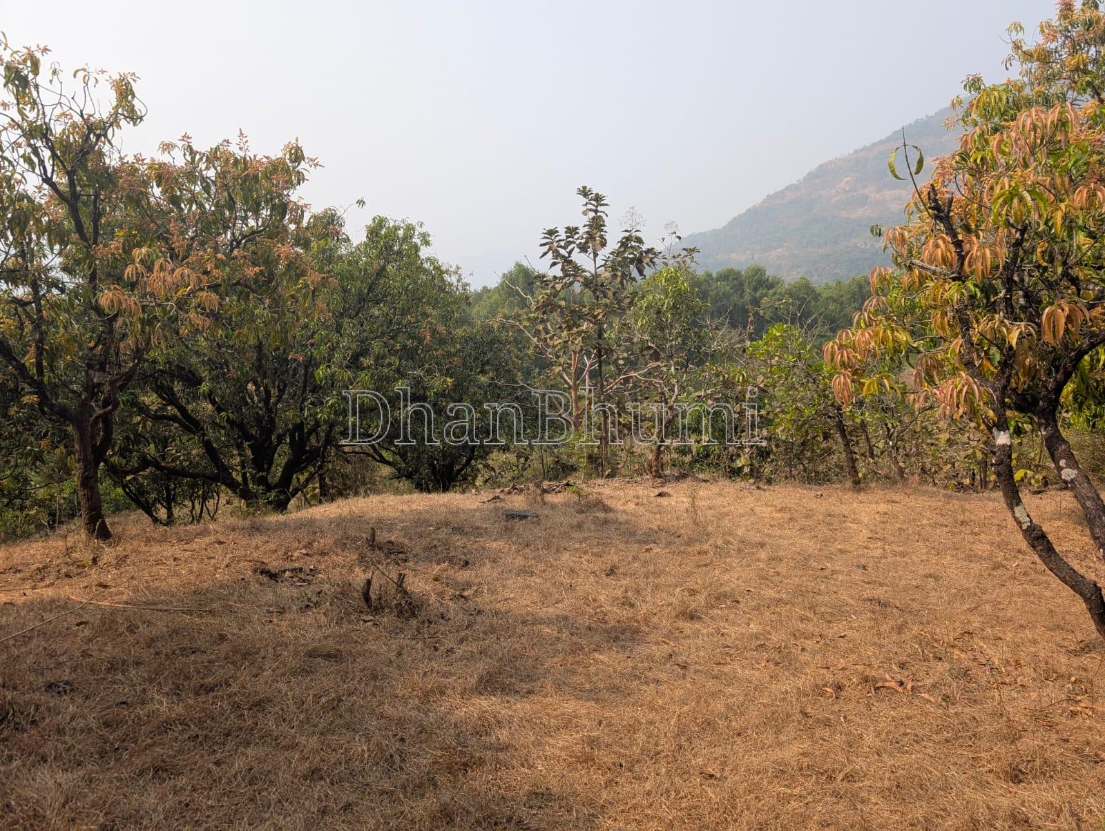 featured_img