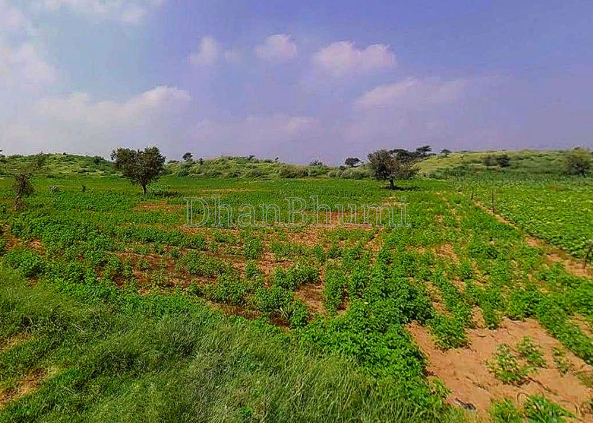 property_images/1771653958_69994b46b69f6.png