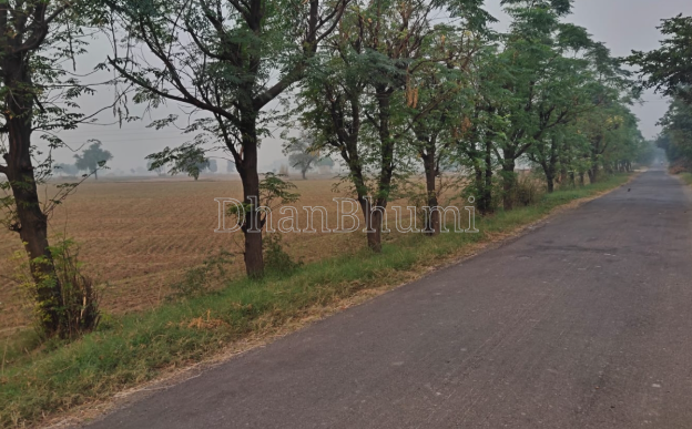 featured_img