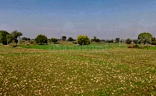 property_images/1771668391_699983a75514d.png