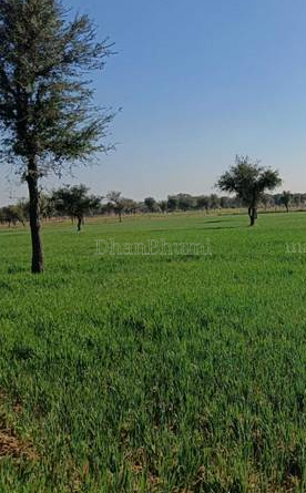 property_images/1771668624_699984908cd47.PNG