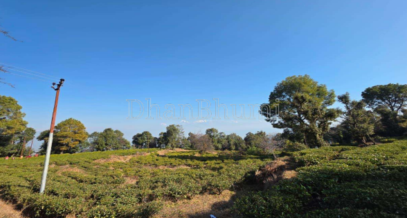 property_images/1772019758_699ee02ec7b65.PNG