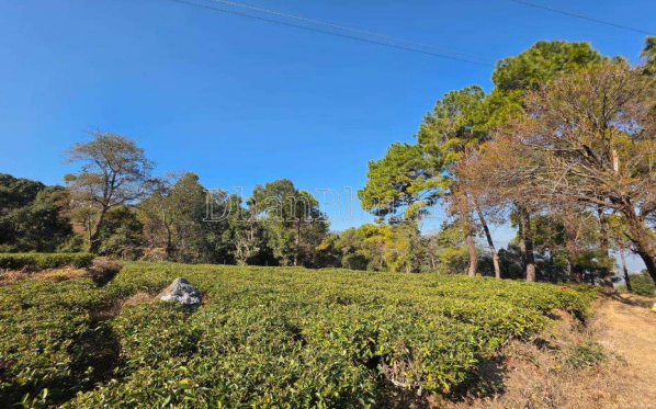 property_images/1772019758_699ee02eda63b.PNG