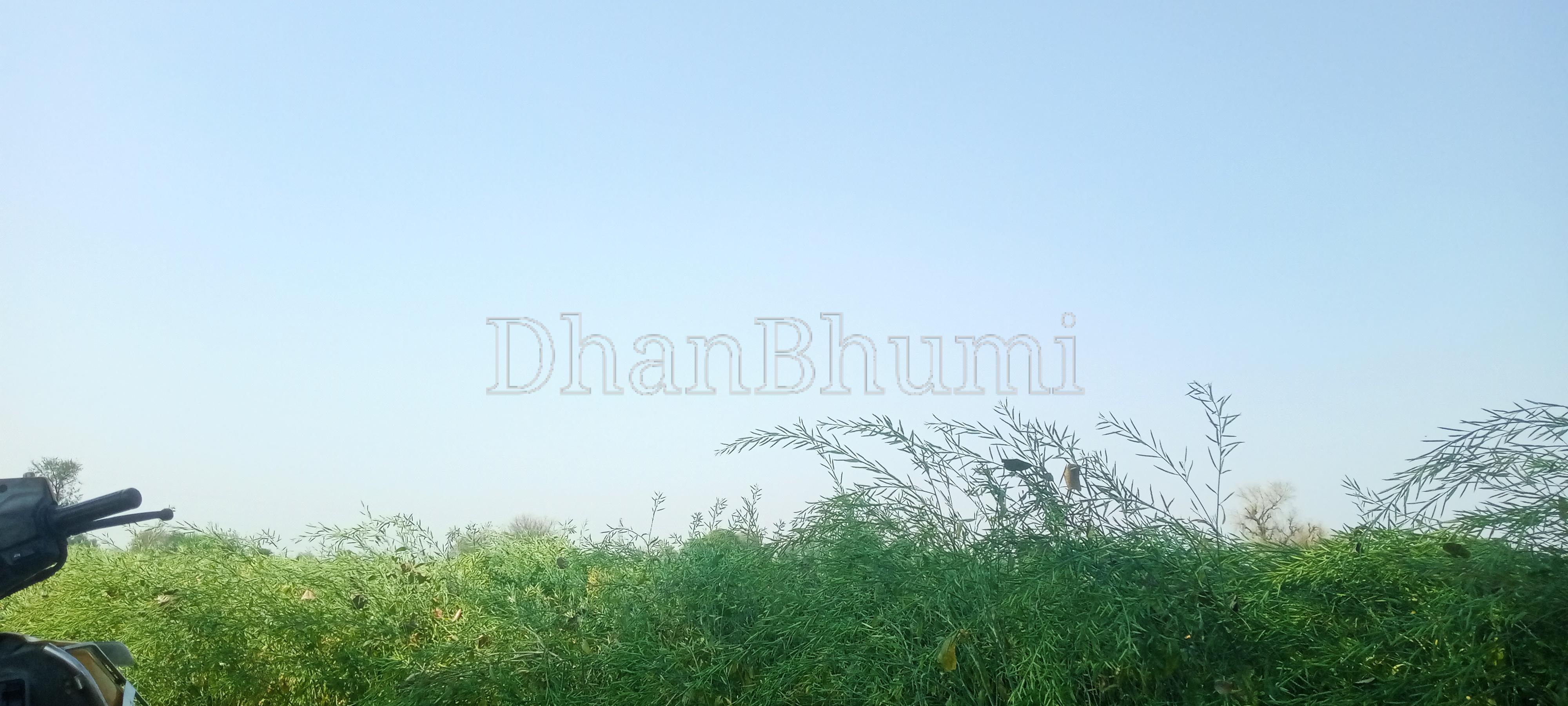 featured_img