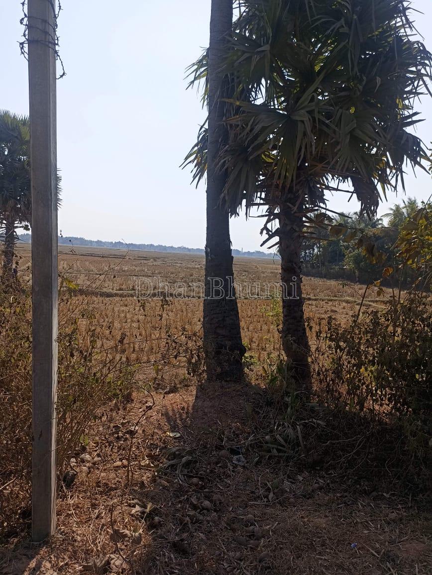 property_images/1772268215_69a2aab7c7539.jpeg