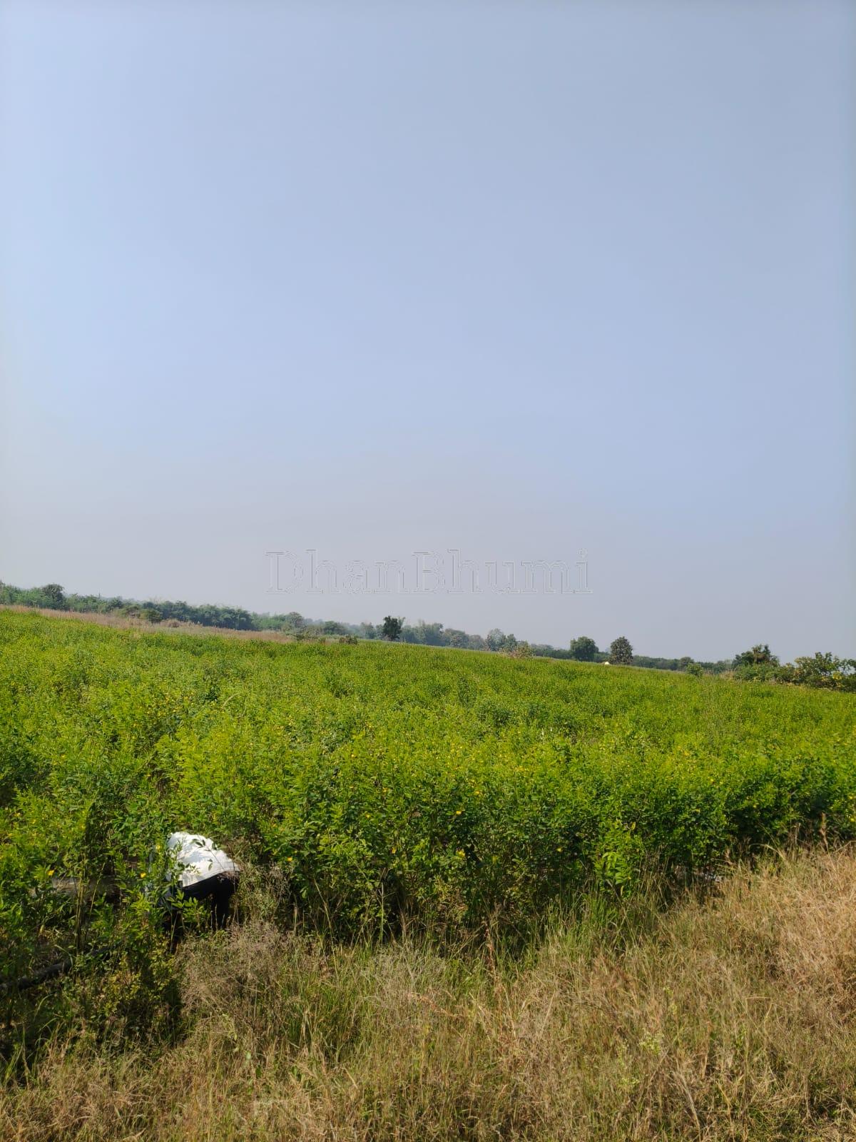 property_images/1772269801_69a2b0e9ee9eb.jpeg