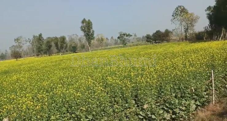featured_img